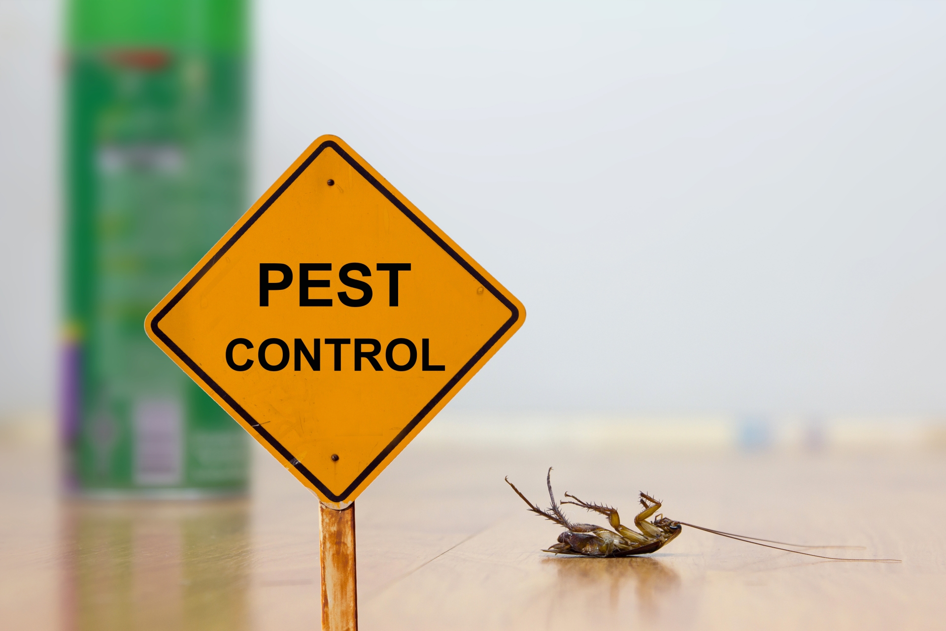 24 Hour Pest Control, Pest Control in Kensal Green, NW10. Call Now 020 8166 9746